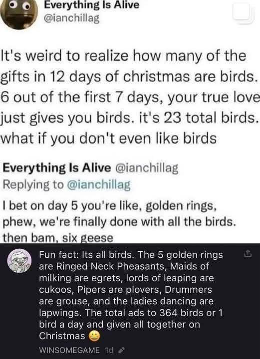 So wait, the 12 days of Christmas are actually just a bird delivery service?