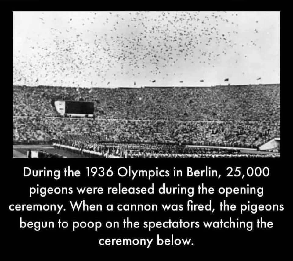 Guess someone forgot to tell the pigeons it was an opening ceremony, not a ticker-tape parade.