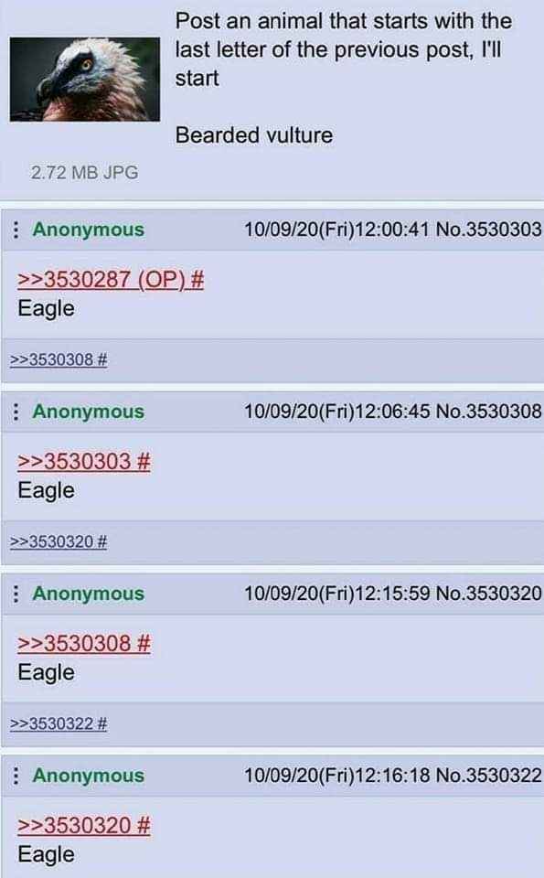 The 'post an animal starting with the last letter of the previous post' thread devolves into everyone just posting 'Eagle'