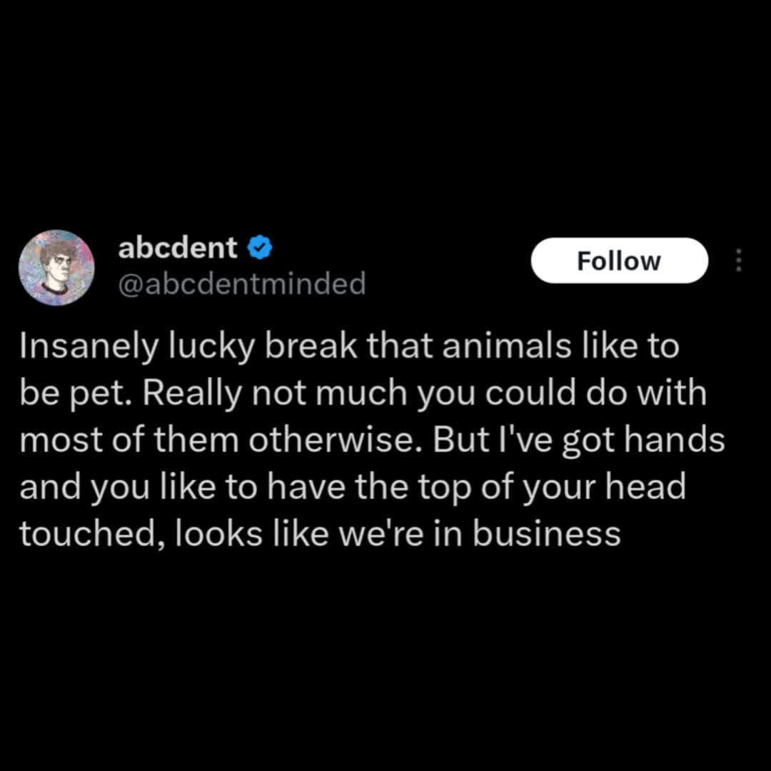 Lol this guy figured out the secret to getting animals to like you is just petting them.