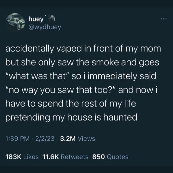 LMAO this person accidentally vaped in front of their mom and blamed it on the house being haunted
