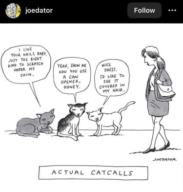 These cats are giving the worst catcalls, lol