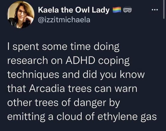 Me doing research for ADHD coping techniques and finding out trees can warn each other with gas.