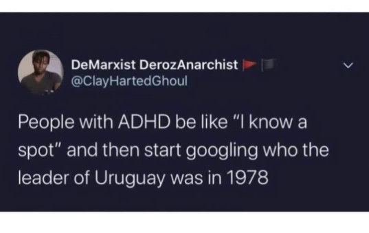When you say you know a spot but then start googling trivia instead