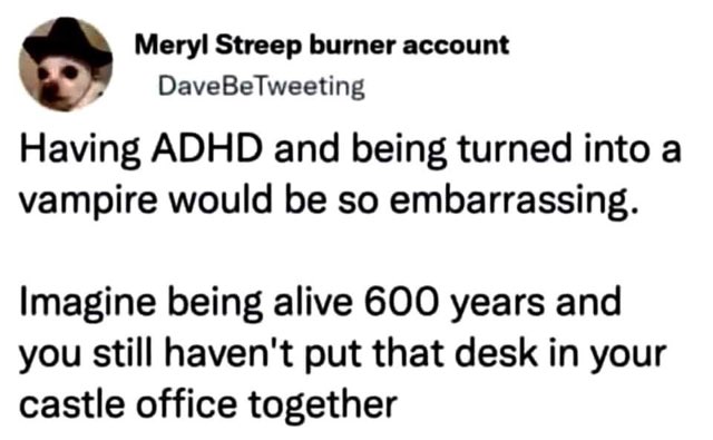 Me with ADHD if I became a vampire. 600 years and I still haven't assembled my castle office desk.