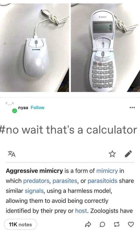 It's like aggressive mimicry but for office supplies