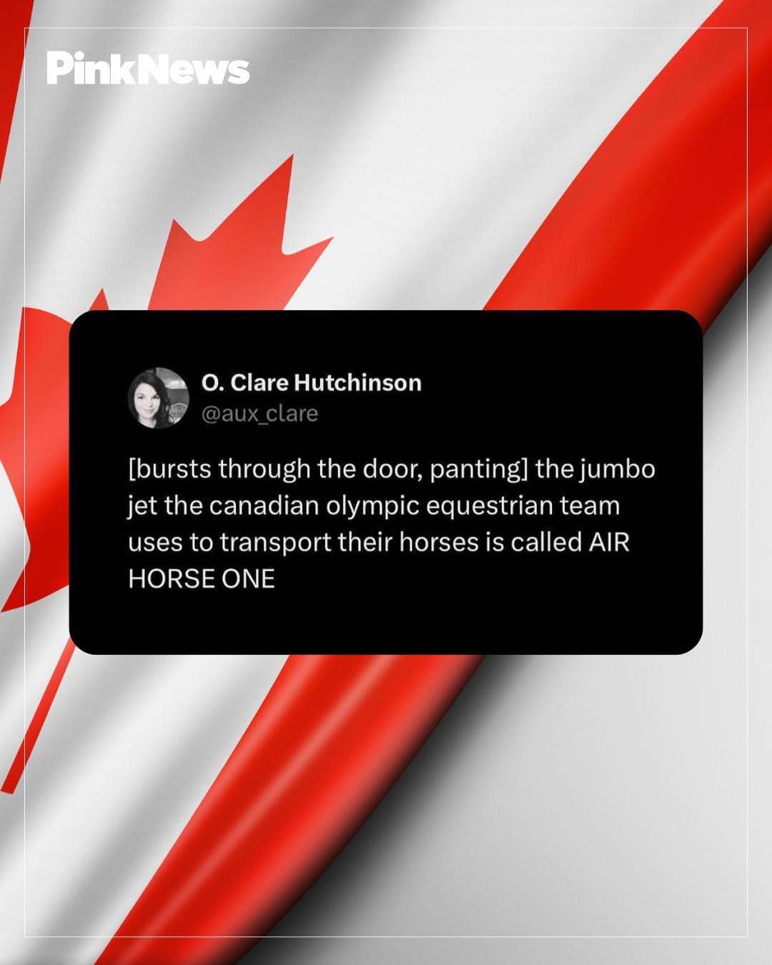 OMG, I can't believe the Canadian Olympic equestrian team's jet is literally called AIR HORSE ONE.