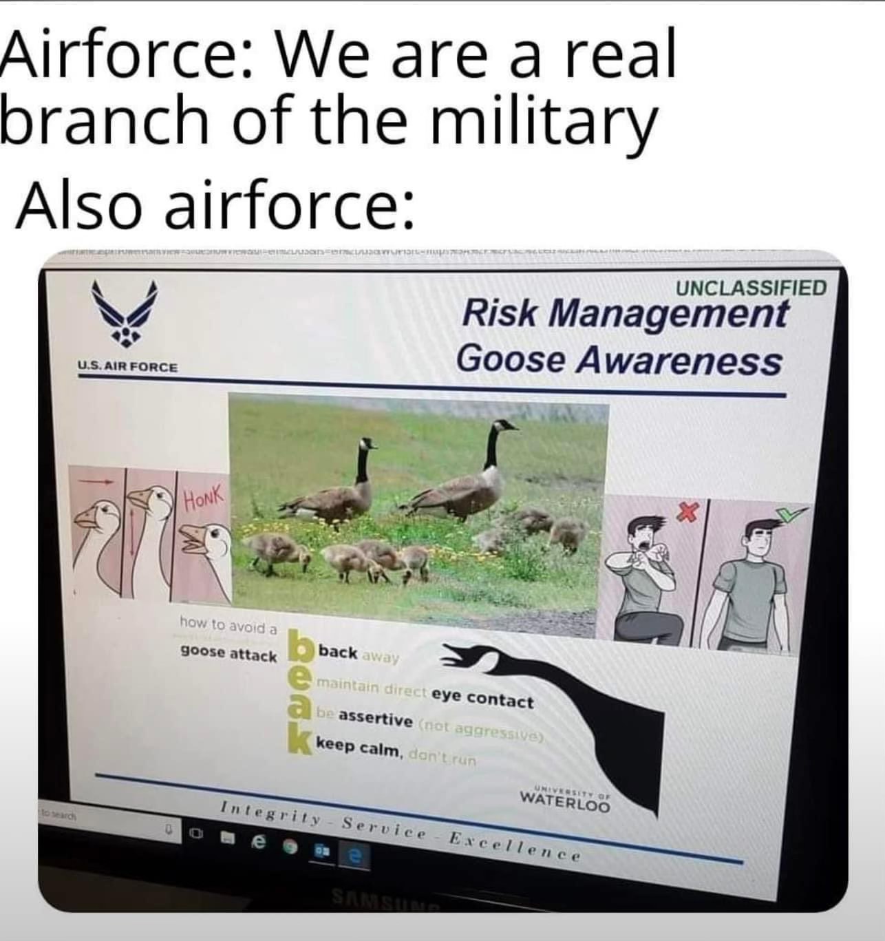 Air Force: 'We are a real branch of the military.' Also Air Force: 'How to avoid a goose attack'.