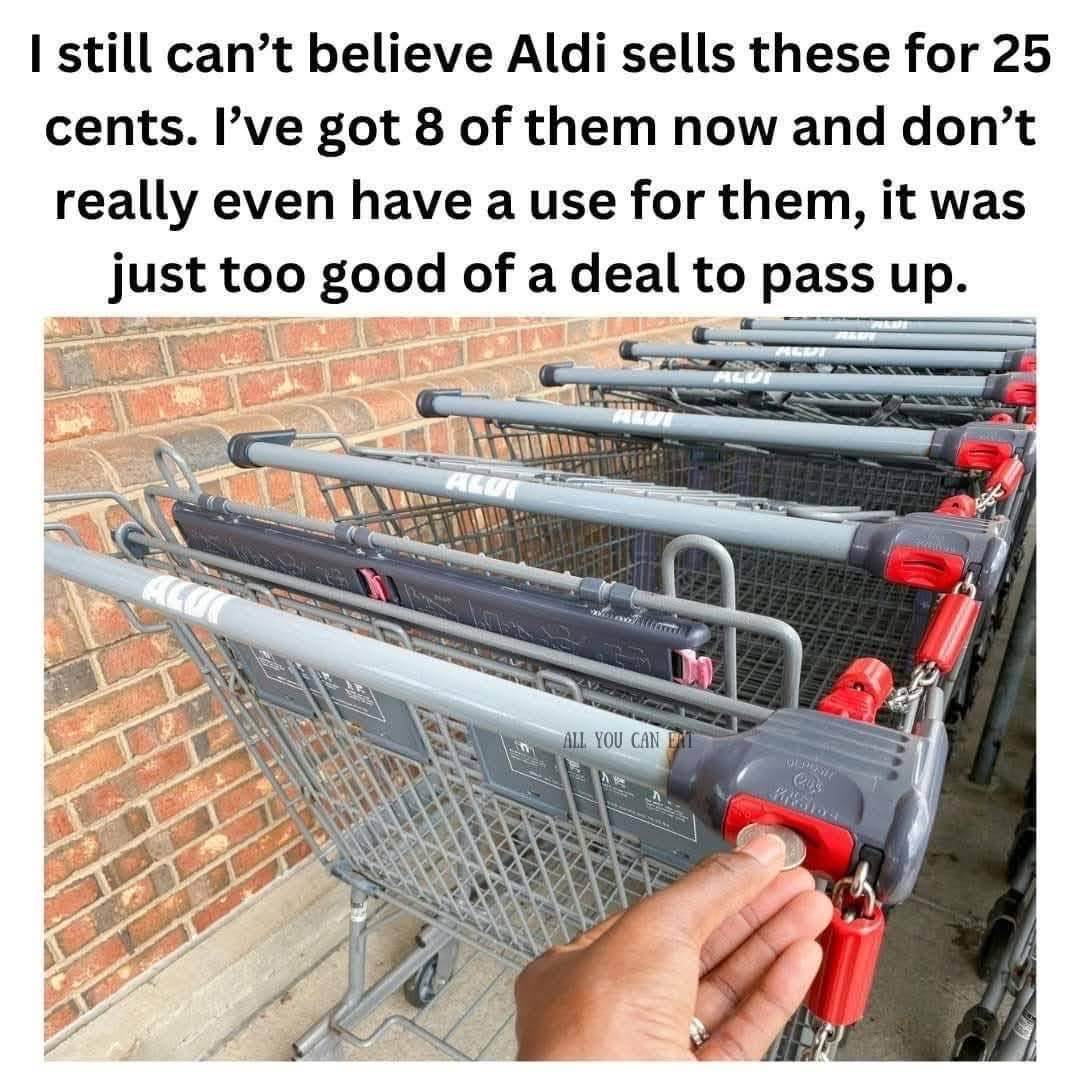 Me impulse buying 8 coin locks from Aldi because they were only 25 cents, even though I don't need them