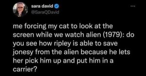 Me explaining the strategic importance of Jonesy's carrier-based escape to my cat.
