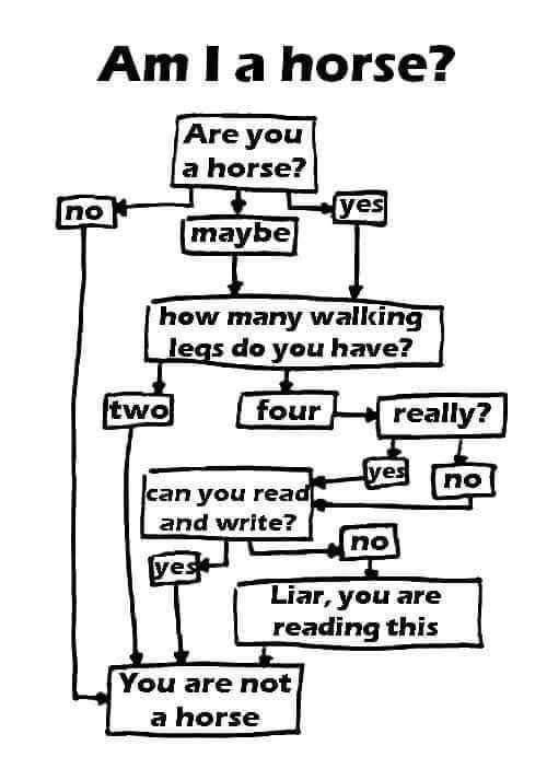 This flowchart is just trying to call me a liar by the end of it.