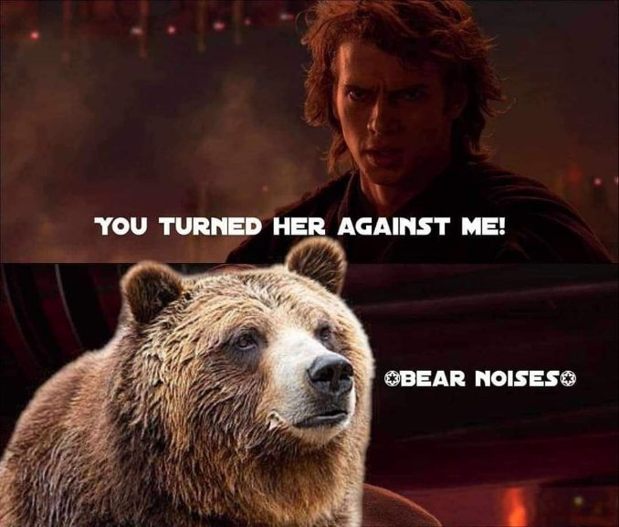 When you realize the 'her' was actually a bear and now you're mad.