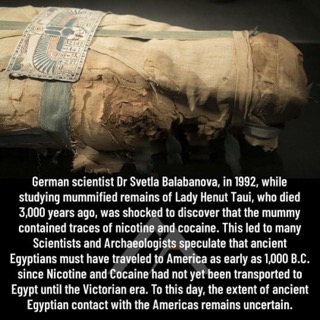 So basically, Egyptians were just way ahead of their time... or something?