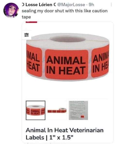 me sealing my door with 'animal in heat' tape lol