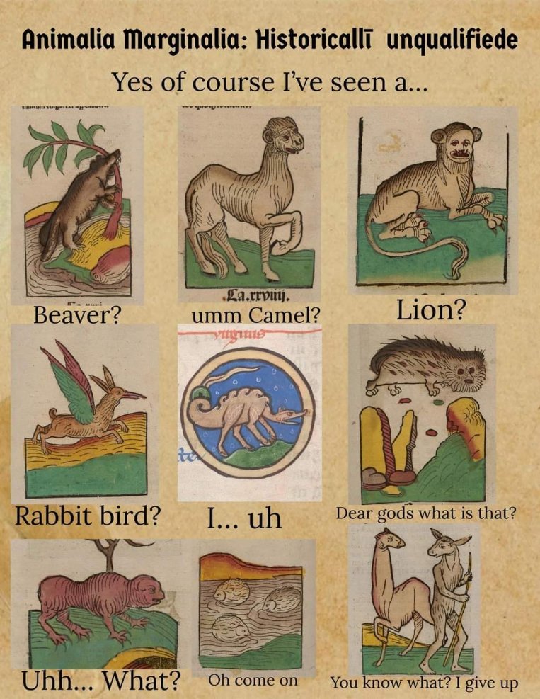 Me trying to identify animals in old manuscripts like 'Is that a beaver? Or like... a camel? OMG a lion?'