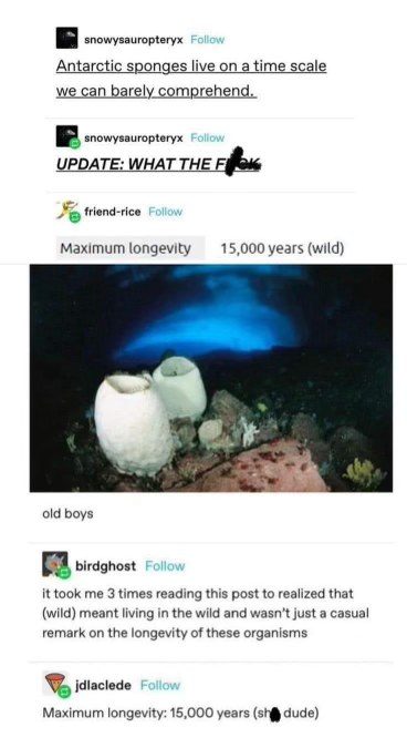 Imagine living for 15,000 years, that's wild
