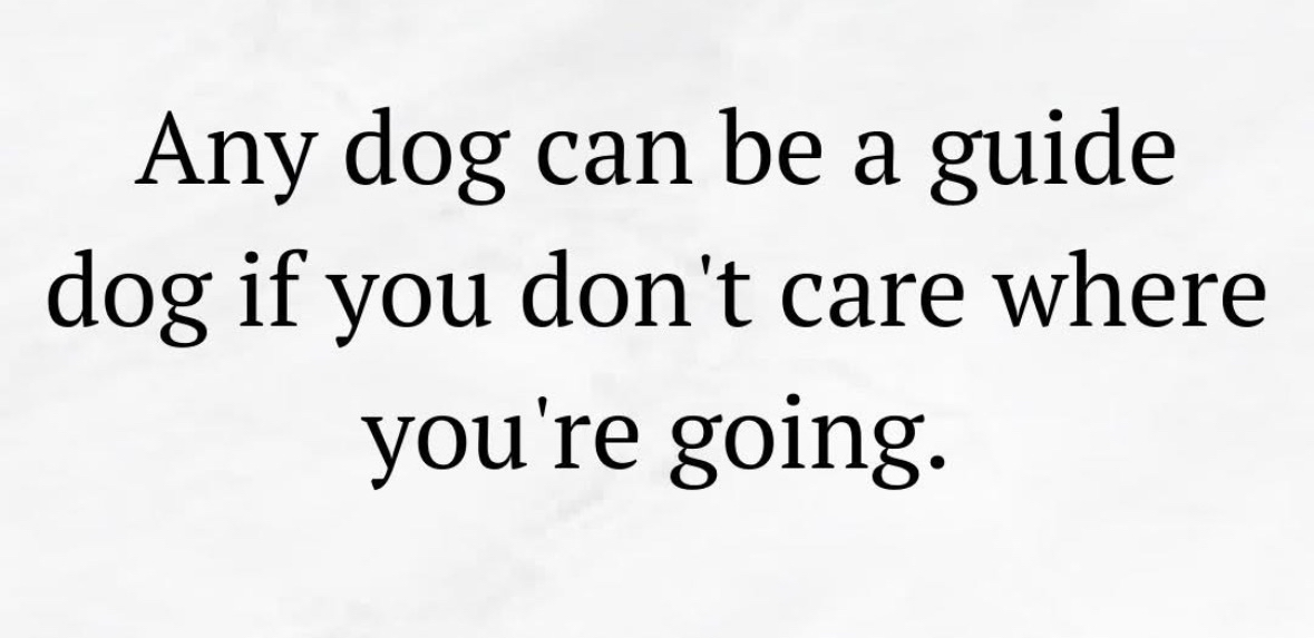 So basically, if my dog leads me to the fridge, he's a guide dog?