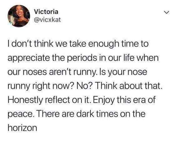 Seriously, enjoy the non-runny nose moments. It's a fleeting peace.