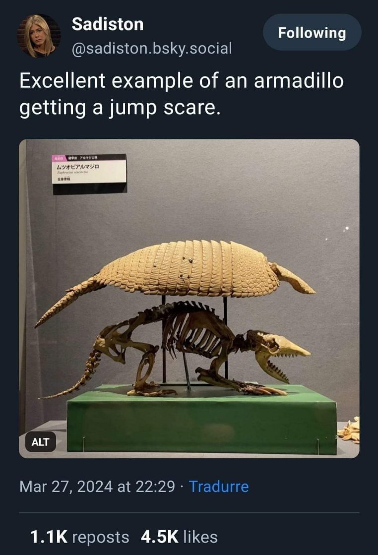 This museum display is the perfect visual for that moment you realize you forgot something important.