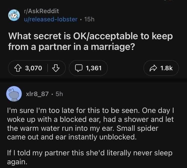 Me revealing that my ear blockage was actually a spider I've been hiding from my partner.