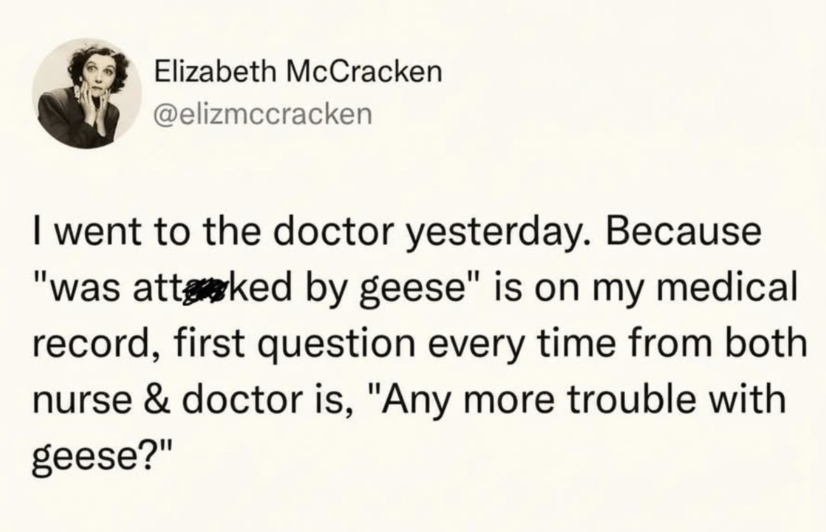 My doctor's only concern is if I'm still having issues with geese after that one incident.
