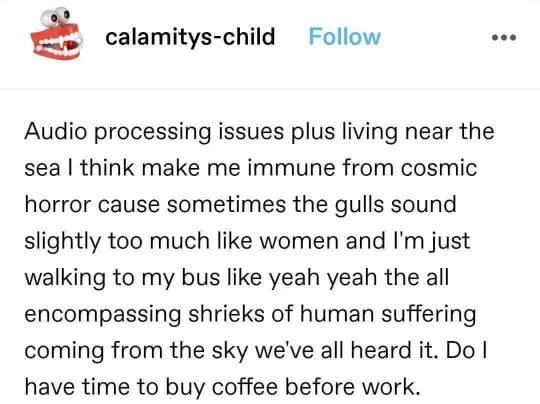 My audio processing issues make seagulls sound like screaming humans, and honestly, I just want coffee before work.