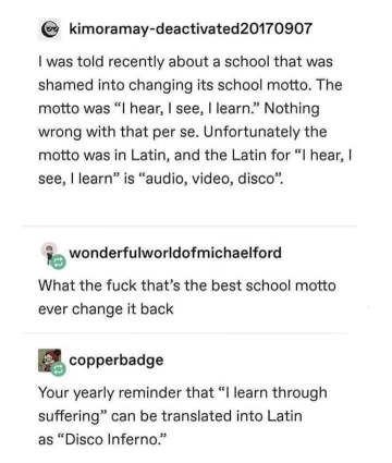 Who knew learning Latin would teach you about disco?