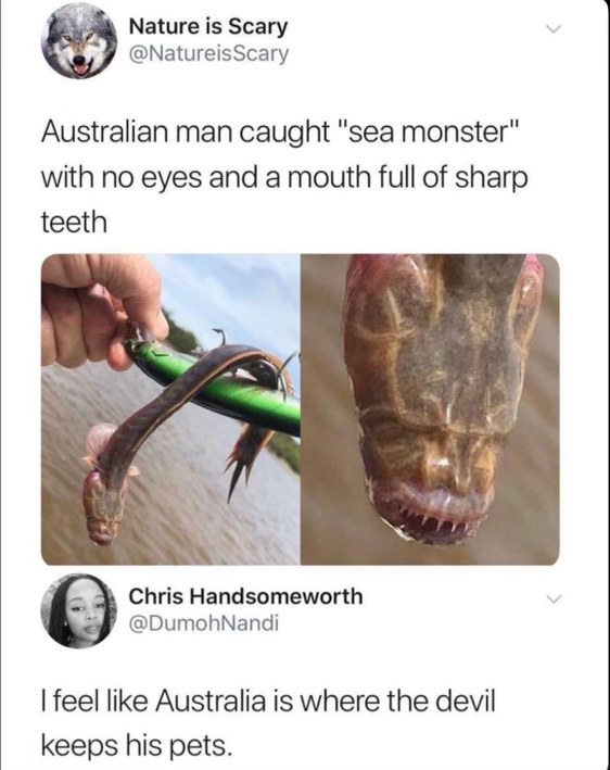 OMG Australia keeps the actual freakiest pets, like this eyeless thing with tiny demon teeth.