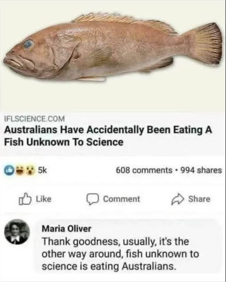 lol imagine being so dangerous that fish are scared of you