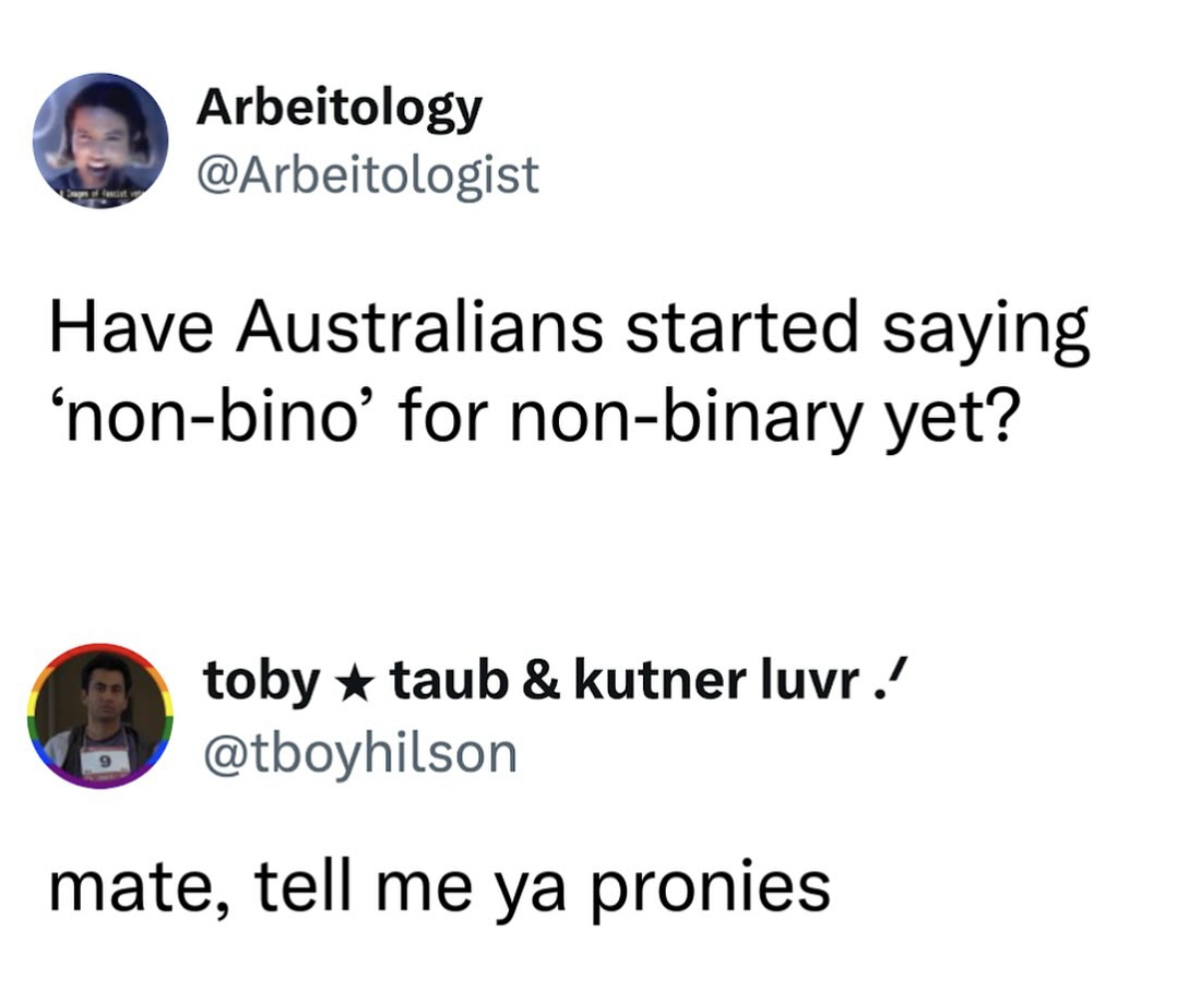 Lol, this reply is wildin' lol. Australians saying 'non-bino' for non-binary just isn't as funny as calling people 'pronies'.