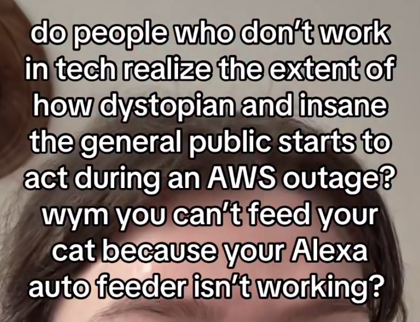 When the AWS outage makes people realize they can't even feed their cat bc of their Alexa feeder. Peak dystopia lol.