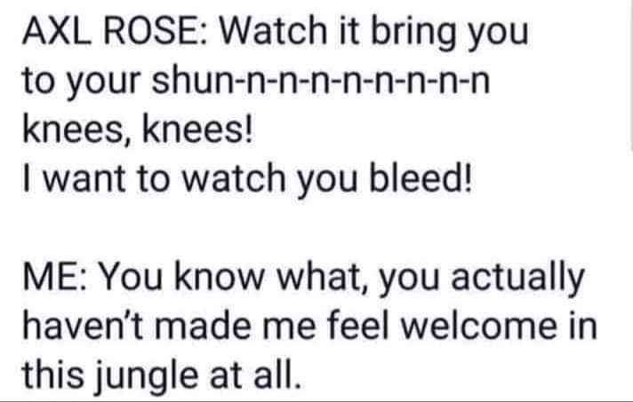 When the Guns N' Roses lyrics are too much for you