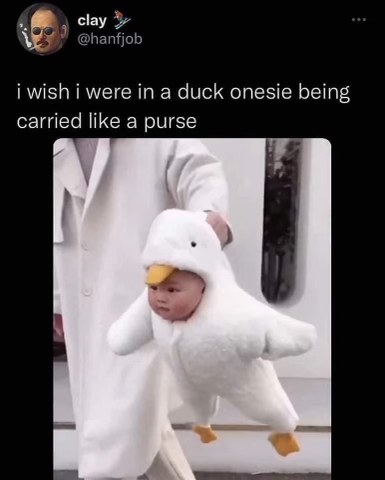 Mood: wishing I was a baby in a duck onesie being carried like a purse