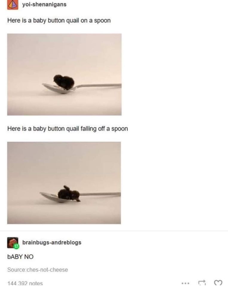 When you're trying to be cute but end up falling off the spoon