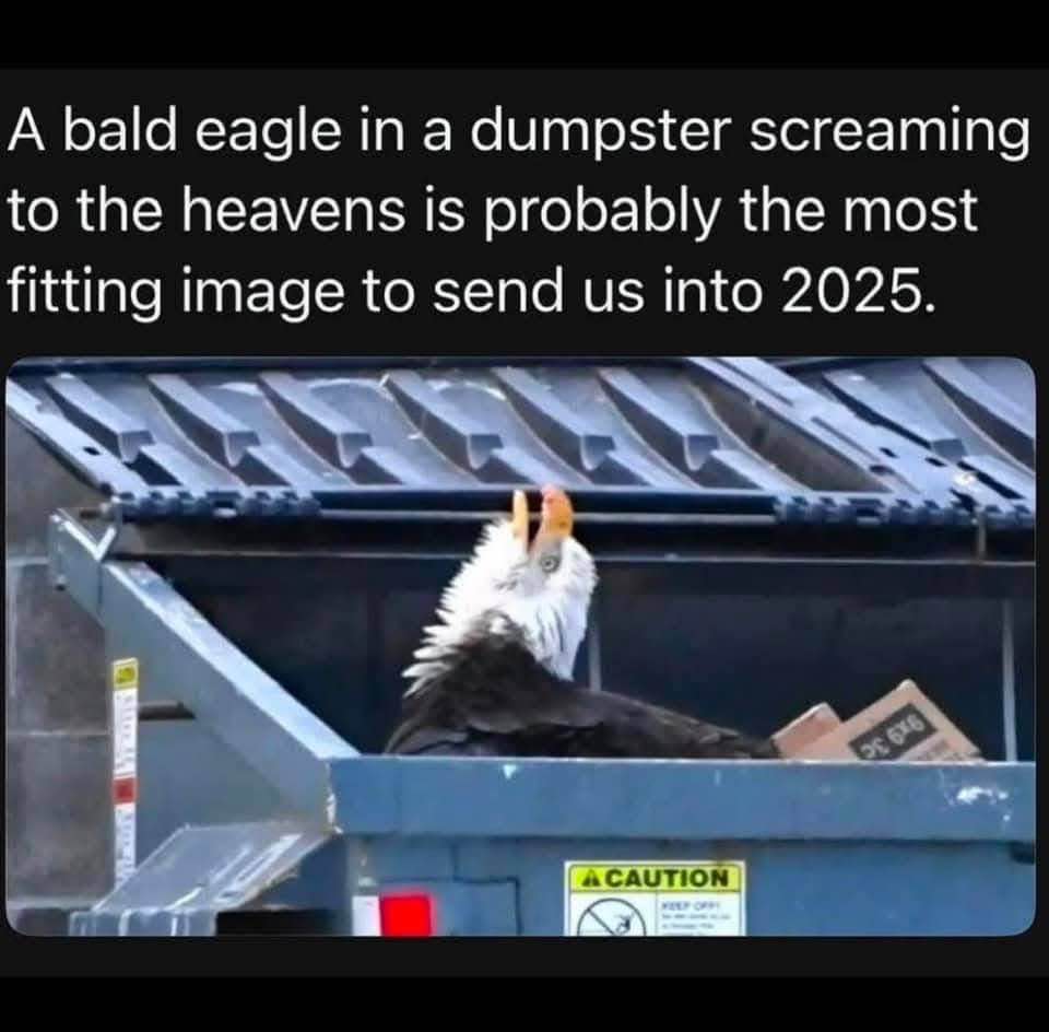 This bald eagle in a dumpster screaming is basically my vibe for the next year.