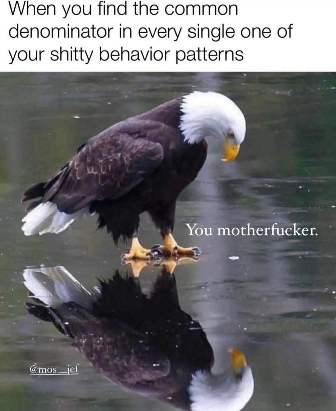 When you finally realize you're the common denominator in all your own problems. Oof.