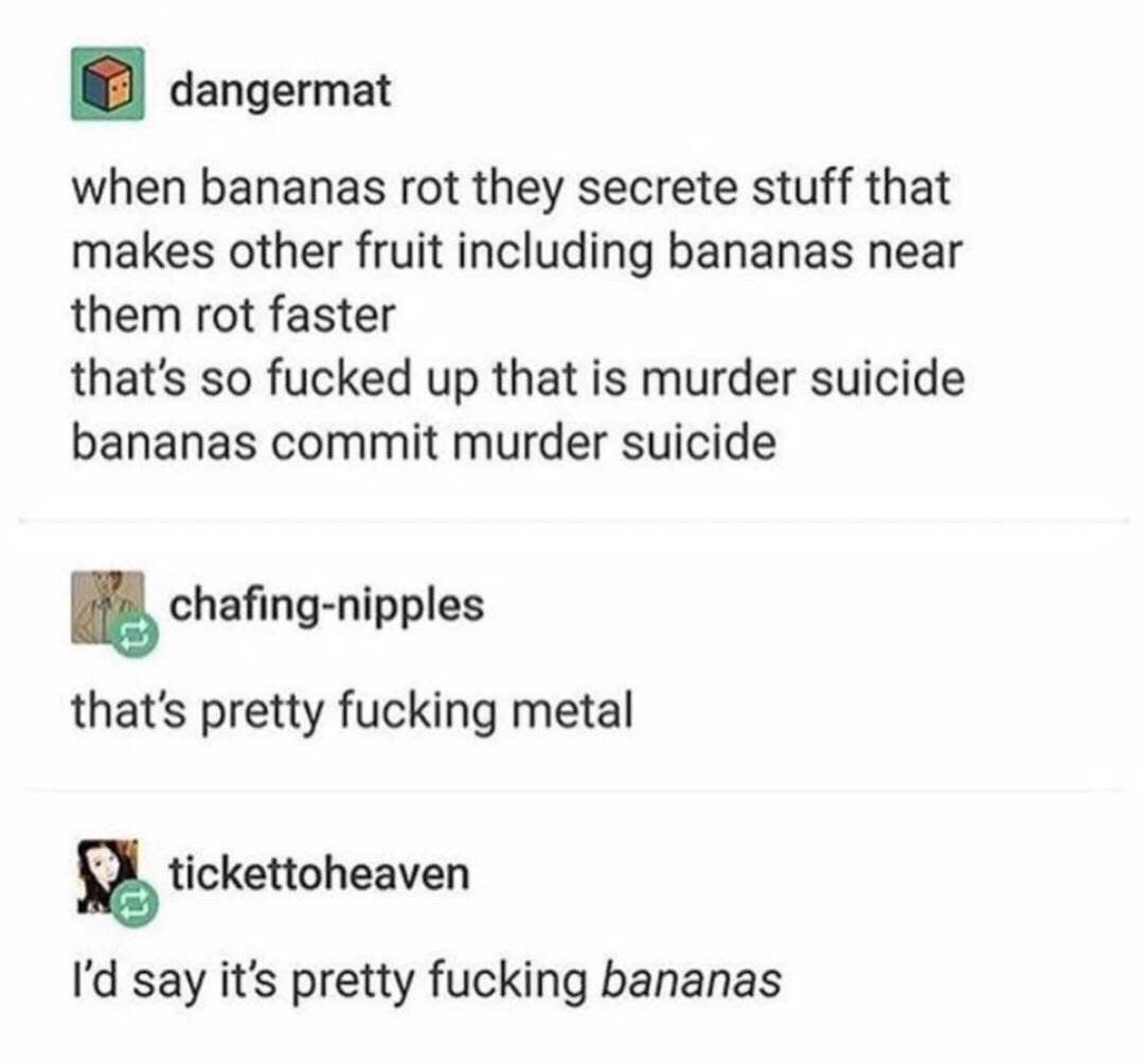 Bananas commit murder suicide and someone calls it metal but someone else calls it bananas. lol