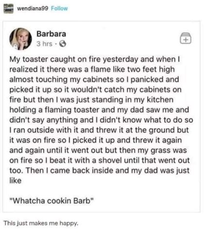 My toaster set on fire and I ended up beating the grass with a shovel, and my dad's reaction was perfect.