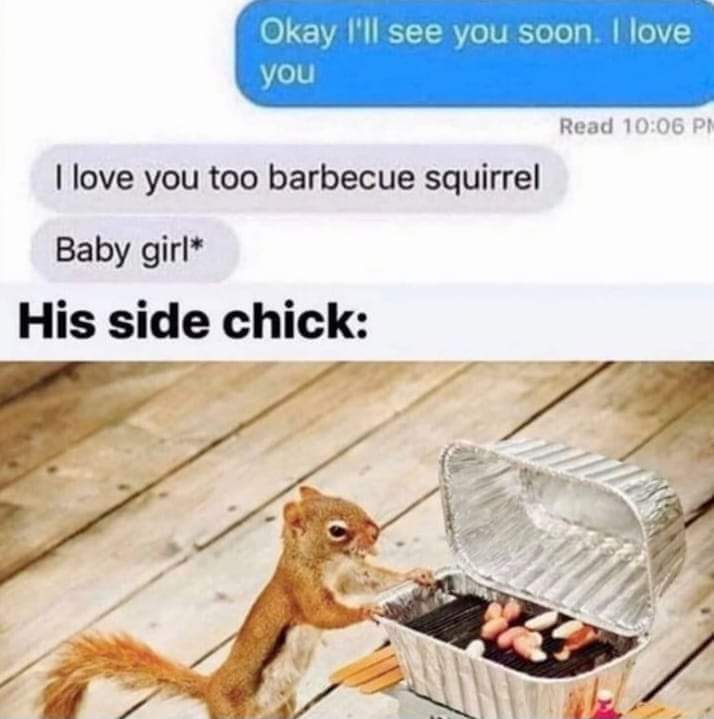 Dude texted his side chick "barbecue squirrel" instead of "baby girl" and I can't stop laughing
