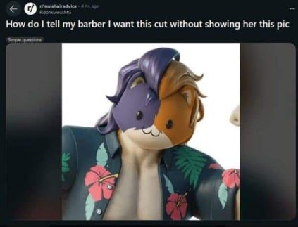 Trying to explain this haircut without just showing the pic...
