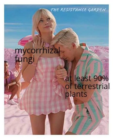 When you realize the fungi are secretly running the whole plant world