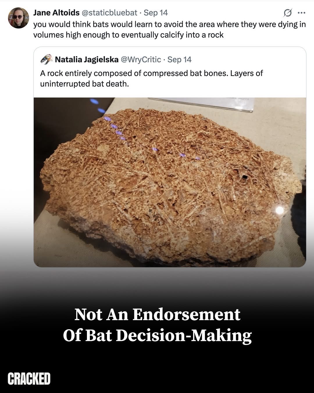 When your whole family reunion turns into a rock. RIP bats.