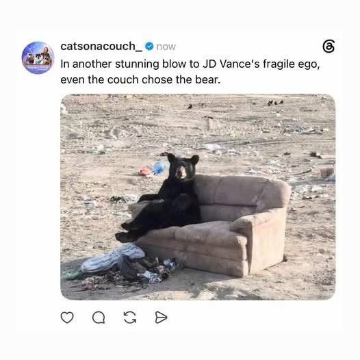 Even the couch chose the bear over JD Vance lol