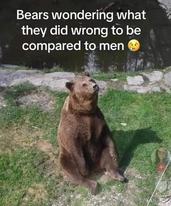 When you're a bear and realize you're being compared to men