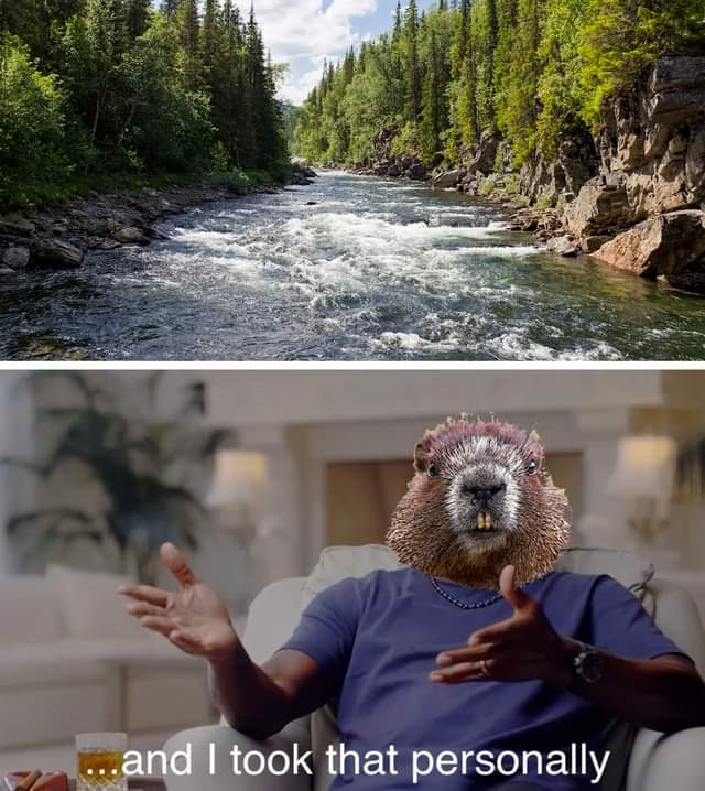 When the river is telling you to chill but you're feeling aggressive
