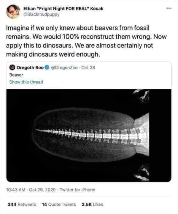 Basically, scientists think dinosaurs were less weird than they actually were, based on this beaver fossil.