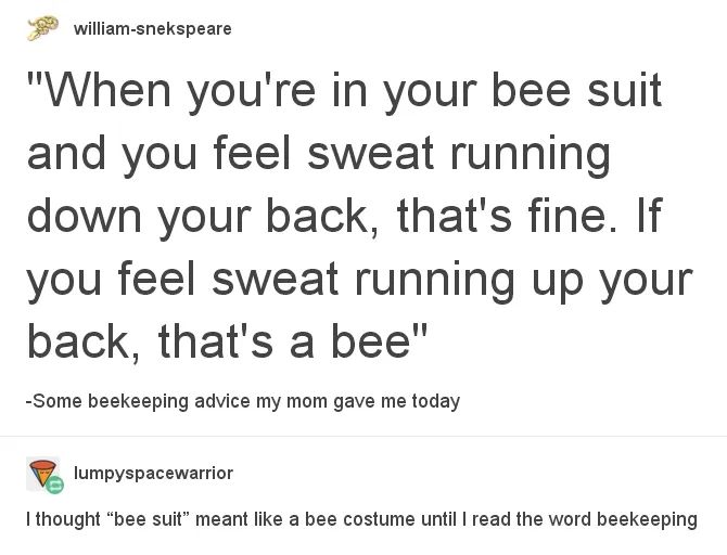 This beekeeping advice is both terrifying and hilarious. Sweat running up your back is a bee!