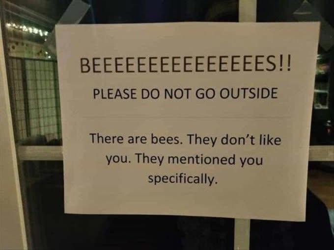 So the bees are talking about me specifically?? Guess I'm staying inside
