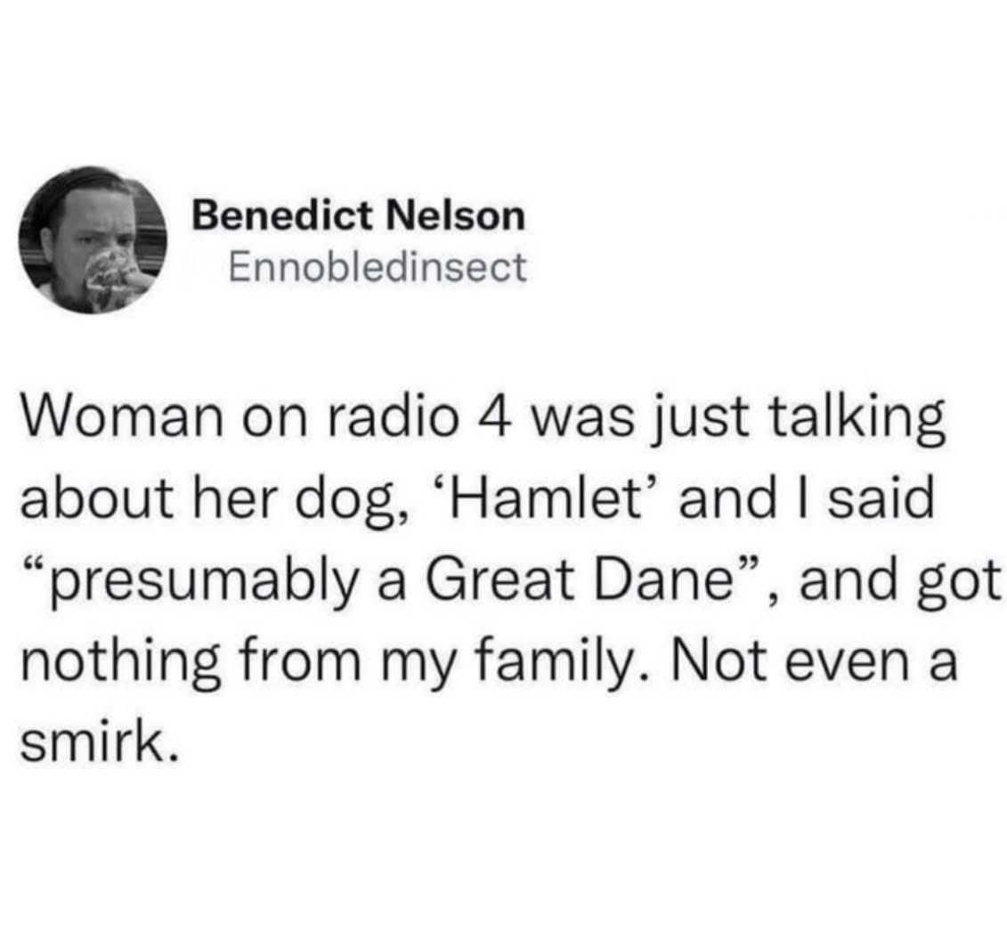 When you make a super niche Shakespeare joke and your family just stares blankly.