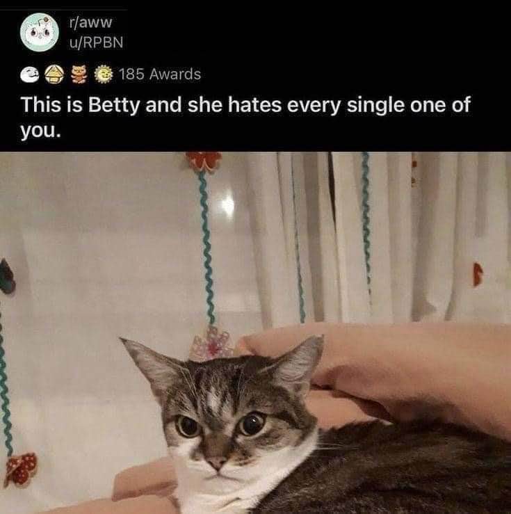 Betty is NOT happy to see you, and frankly, I don't blame her.